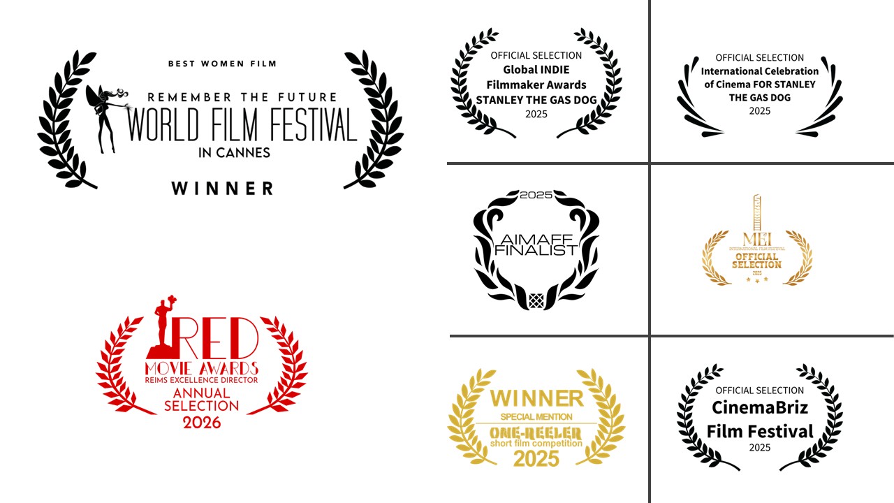 Official Selection for Stanley the Gas Dog in International Celebration of Cinema Film Festival